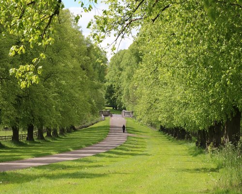 A person walking through a sunny public park with lush green grass and trees